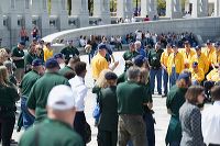 hf_31_6636