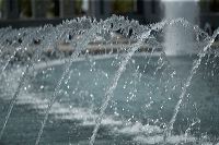 hf_31_6781