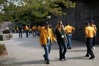 hf_31_7409