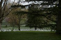 hf_31_7905