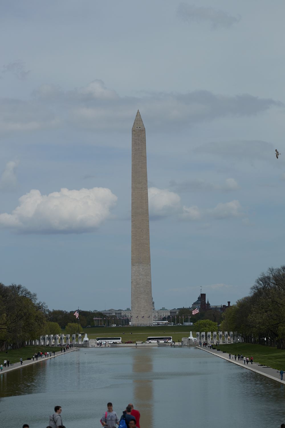 hf_31_7142.jpg