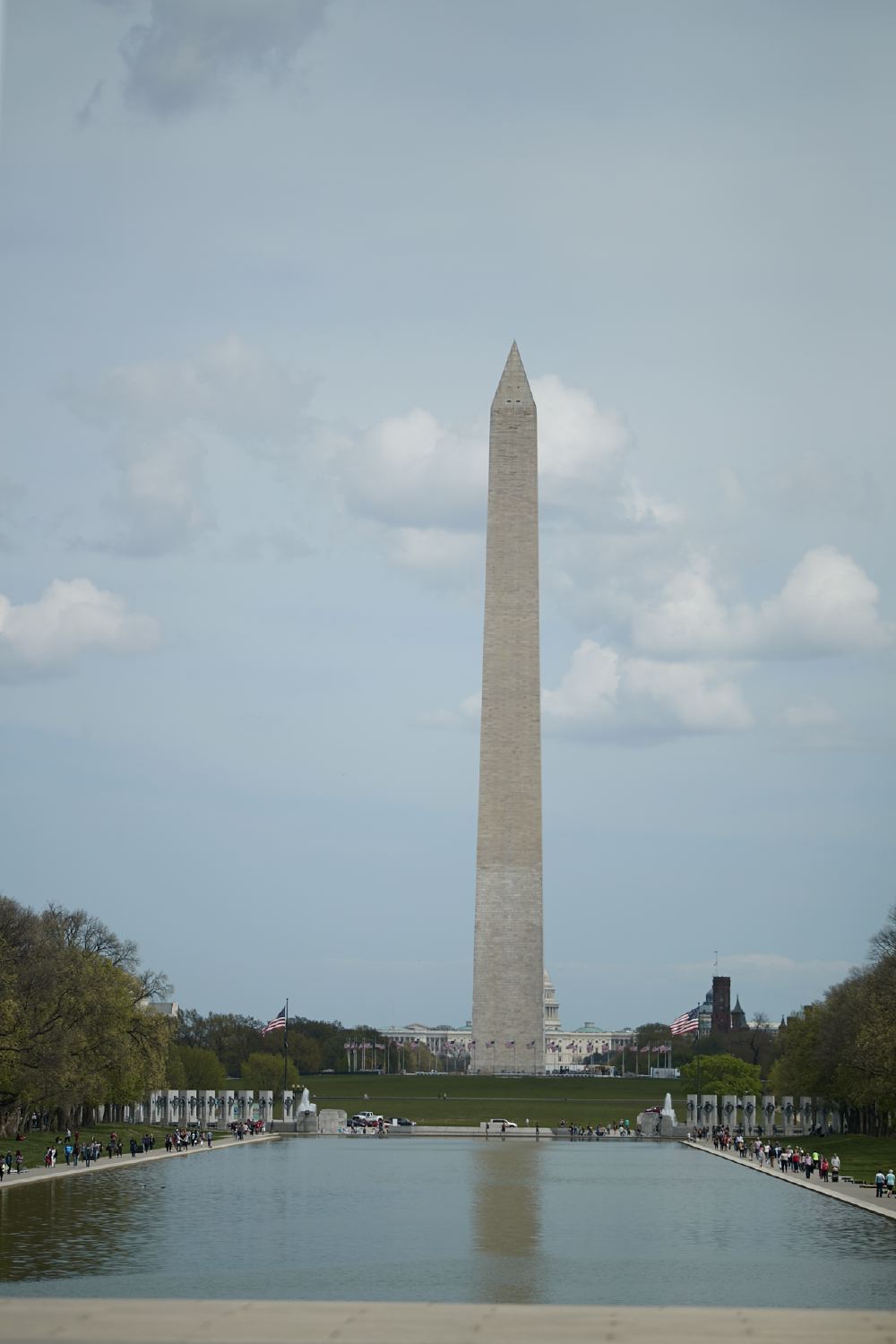 hf_31_7163.jpg
