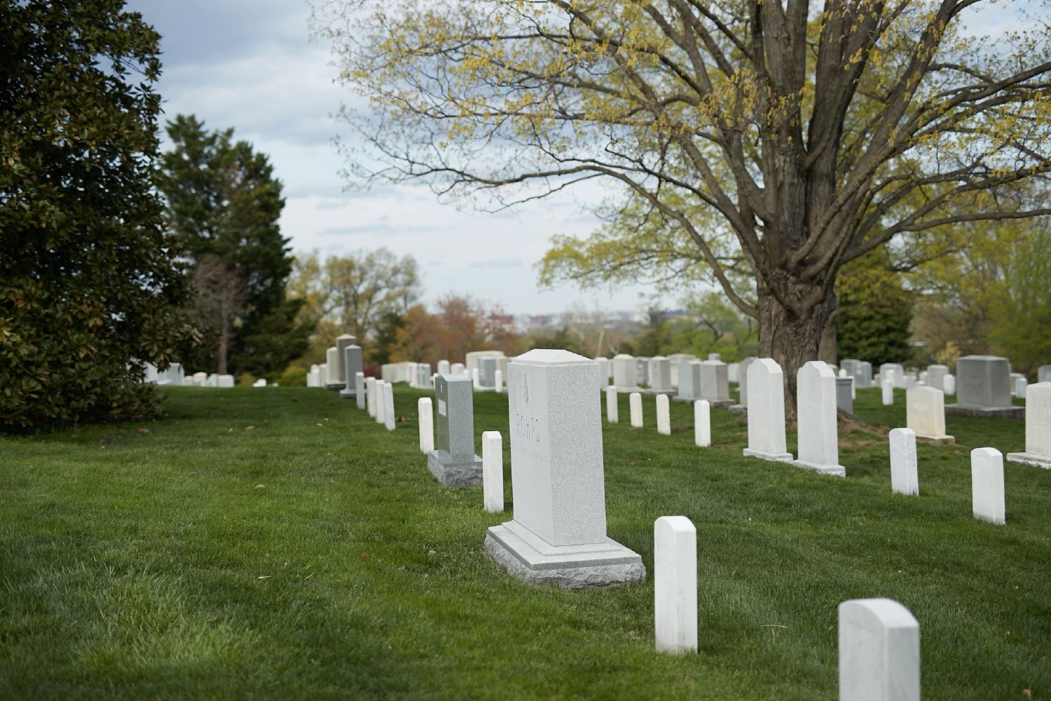 hf_31_7882.jpg