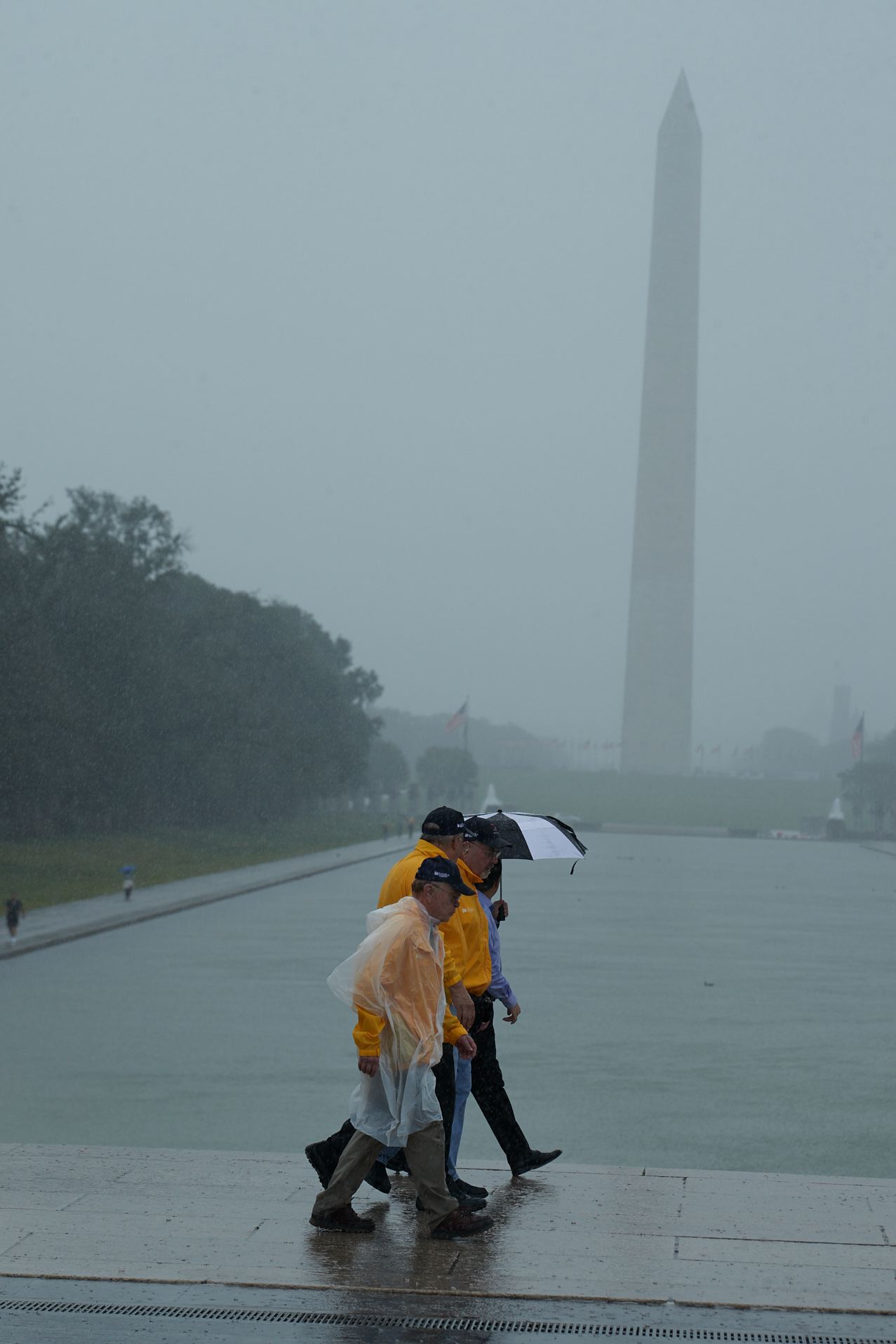 hf33_16781.jpg