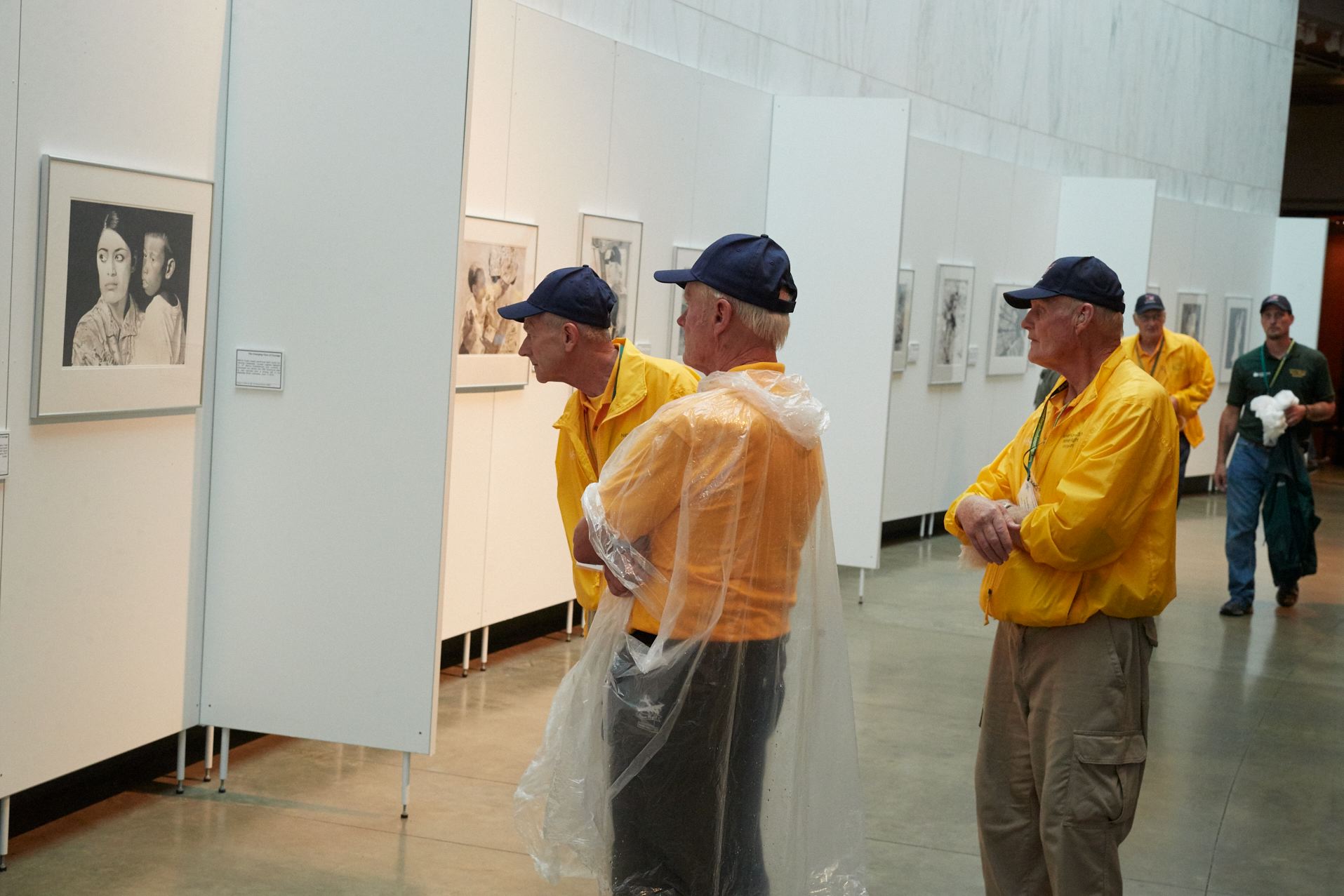 hf33_17169.jpg