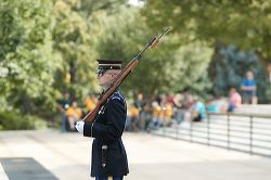 hf_37_42625