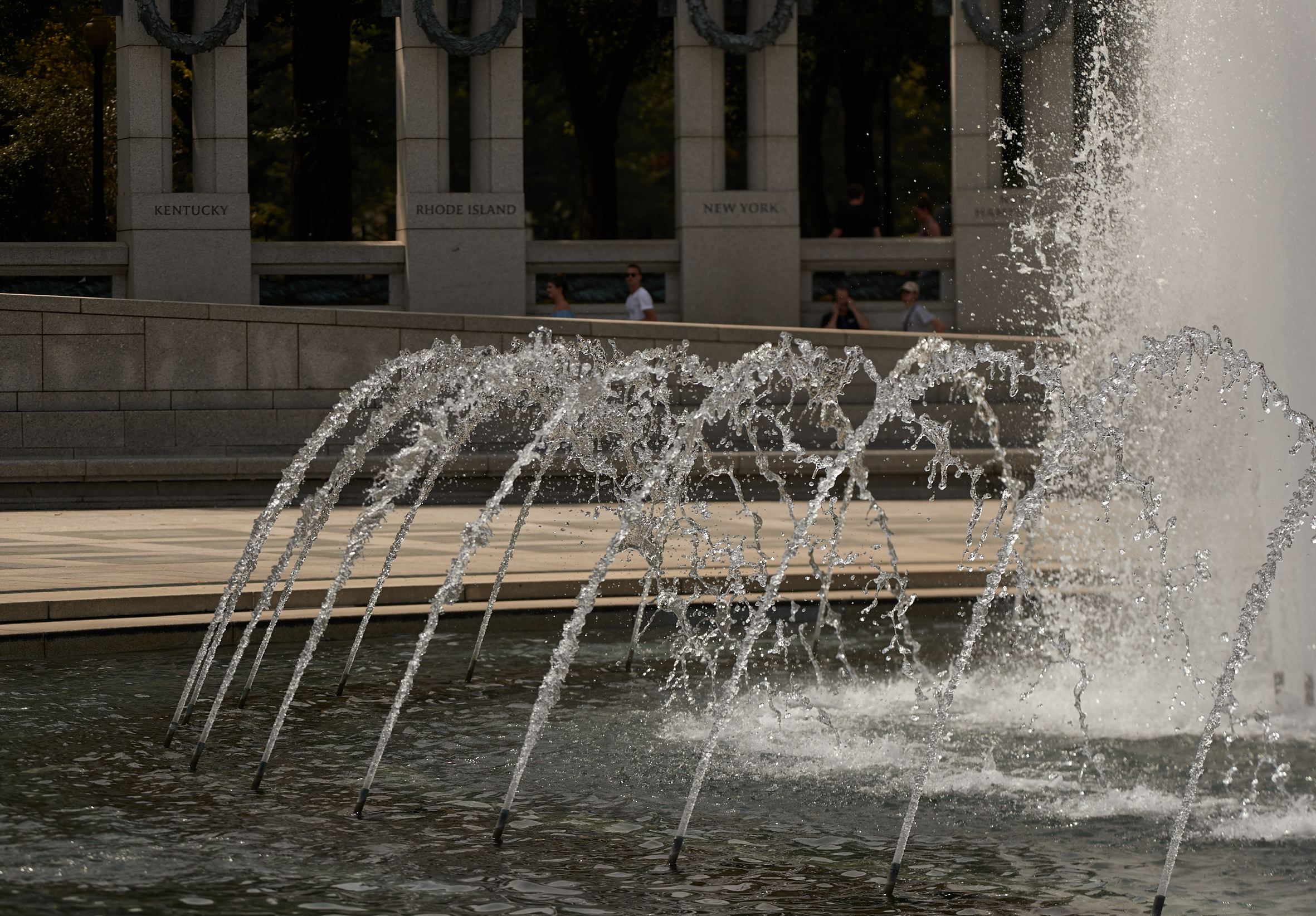 hf_37_41862.jpg