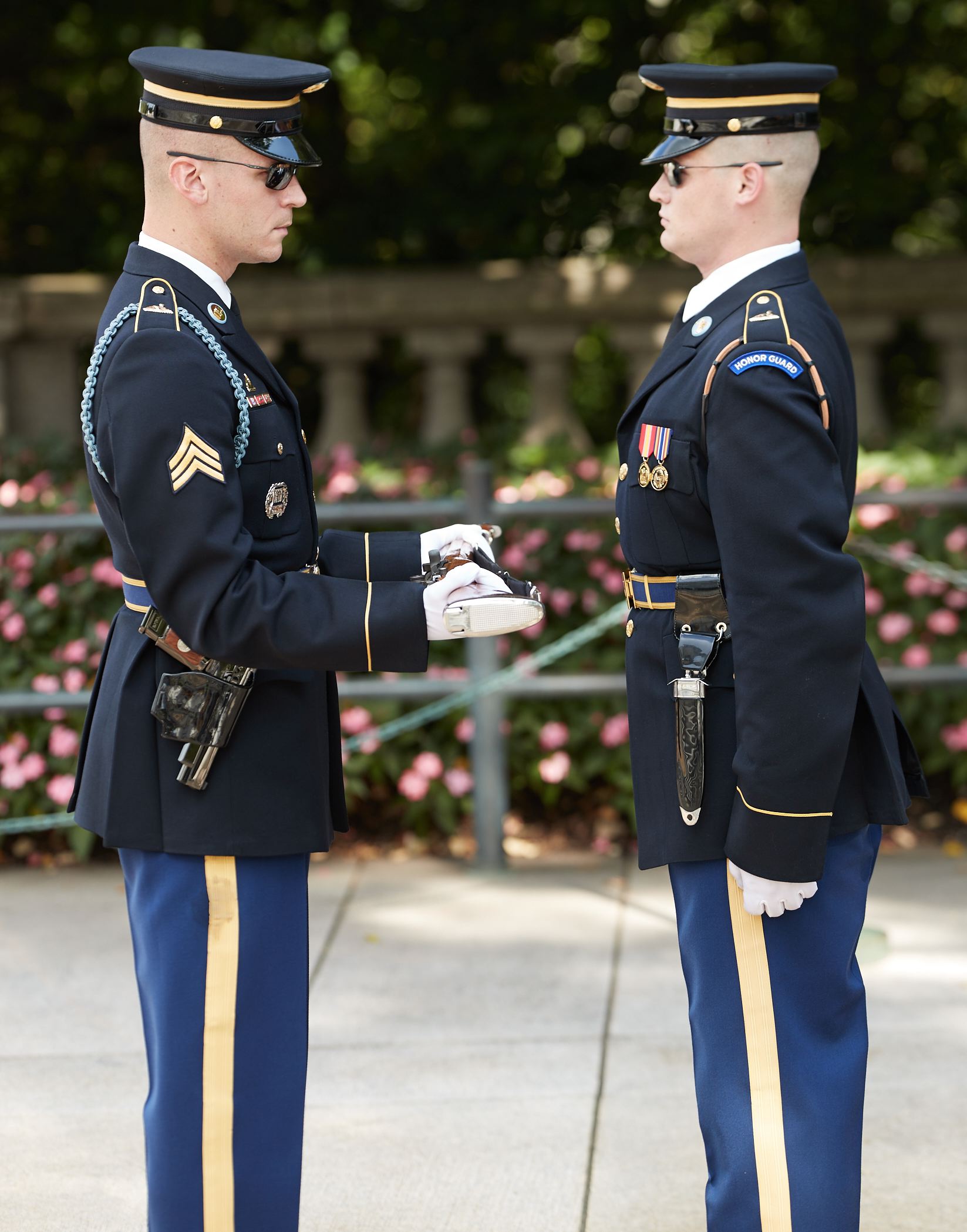 hf_37_42636.jpg