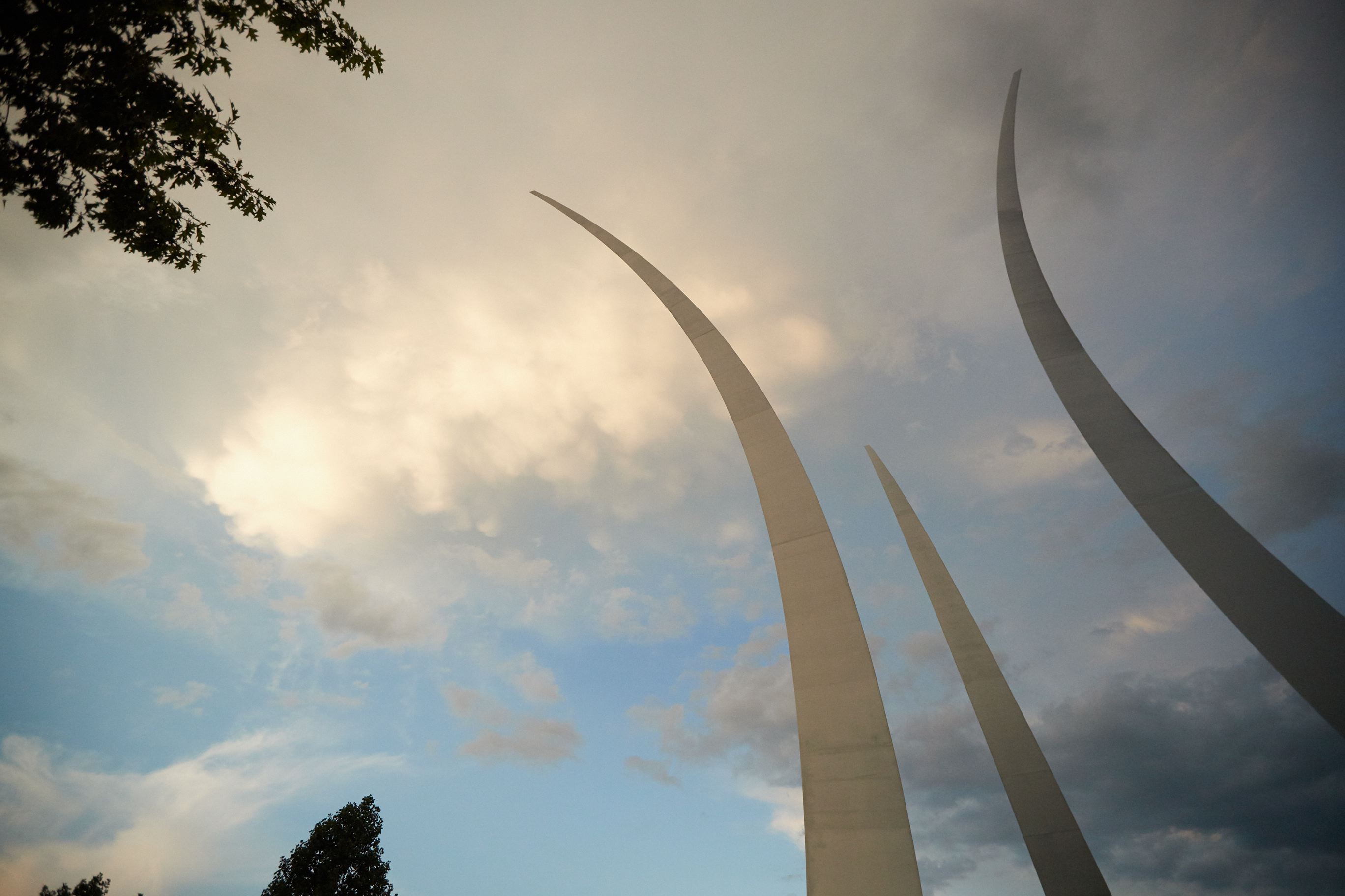 hf_37_43537.jpg