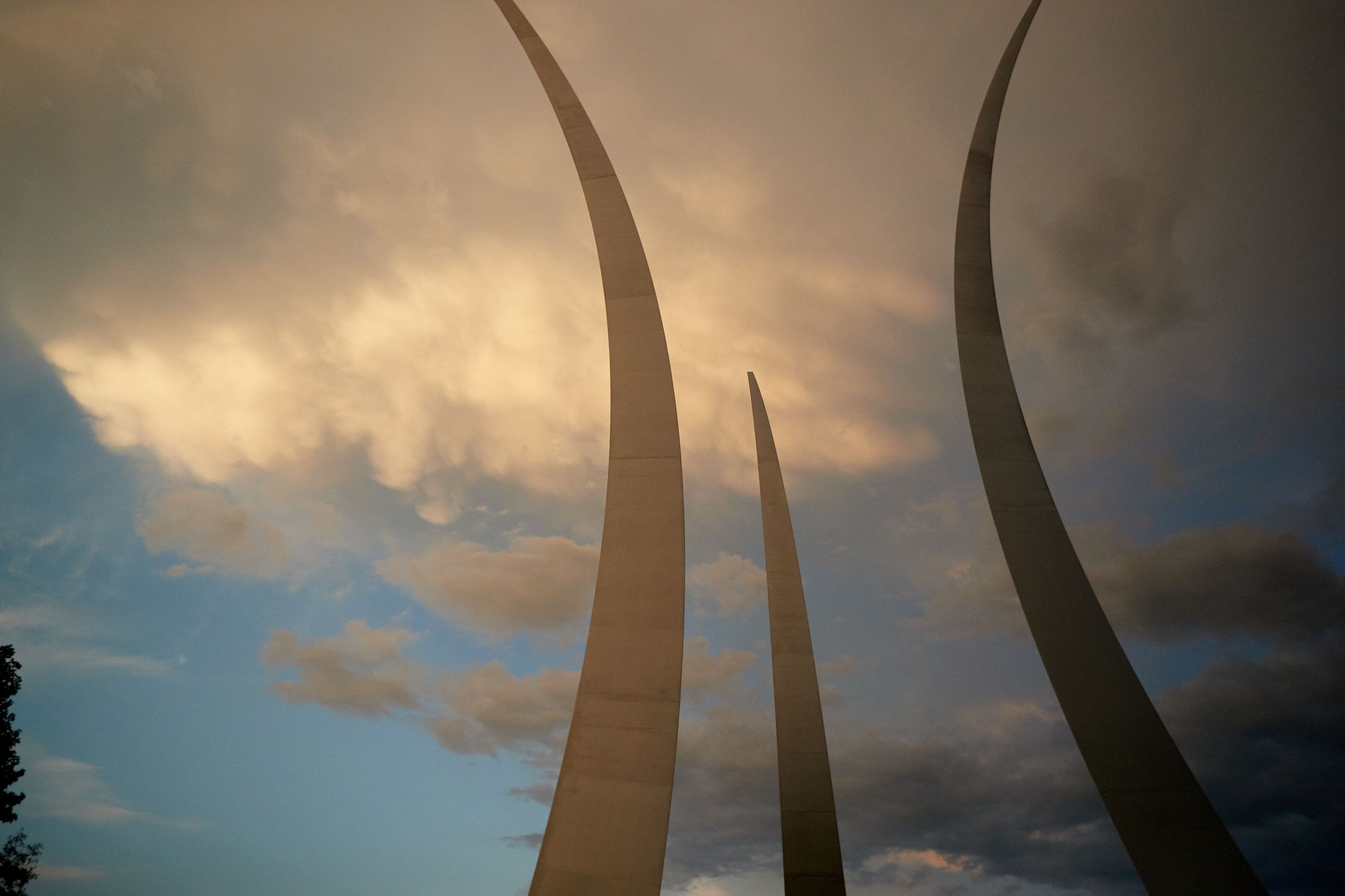 hf_37_43549.jpg