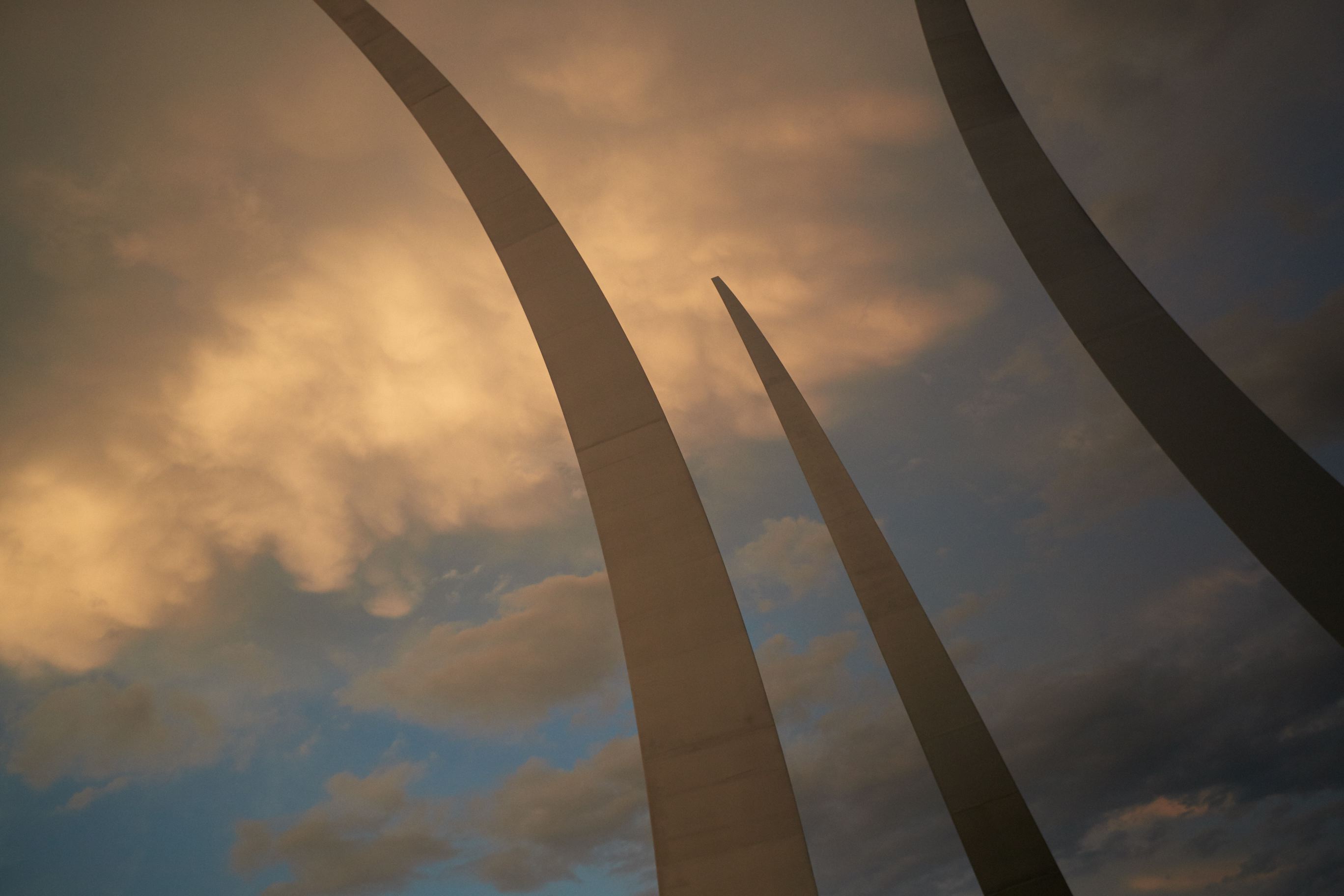 hf_37_43551.jpg