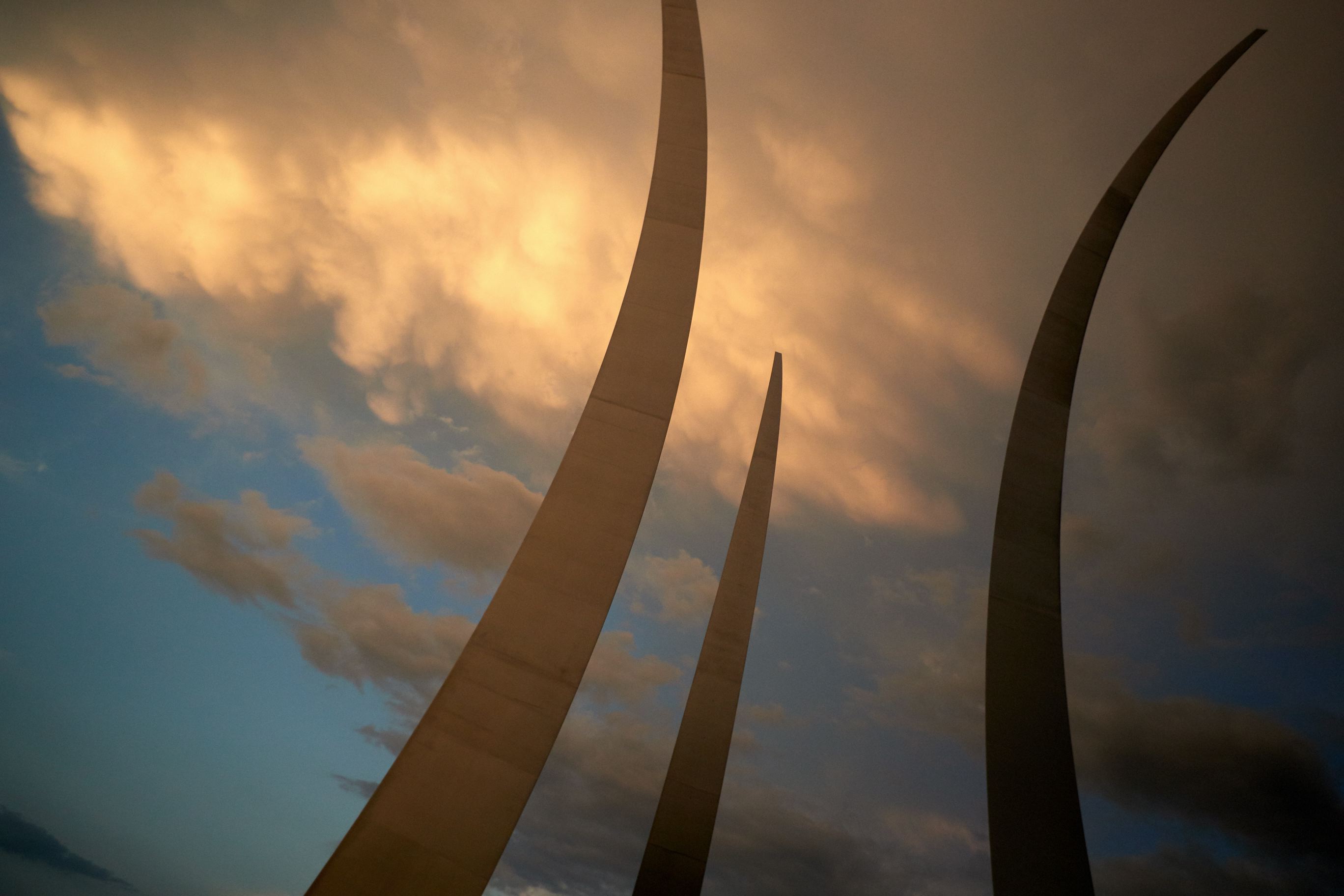 hf_37_43554.jpg