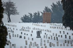 waa_48493_1