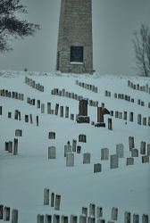 waa_48505_1