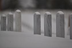 waa_48661