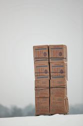 waa_48706