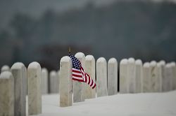 waa_48716_1