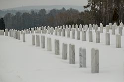 waa_48742