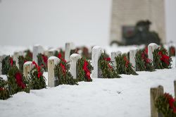 waa_49837_1