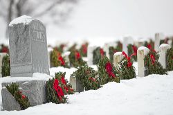 waa_49839_1