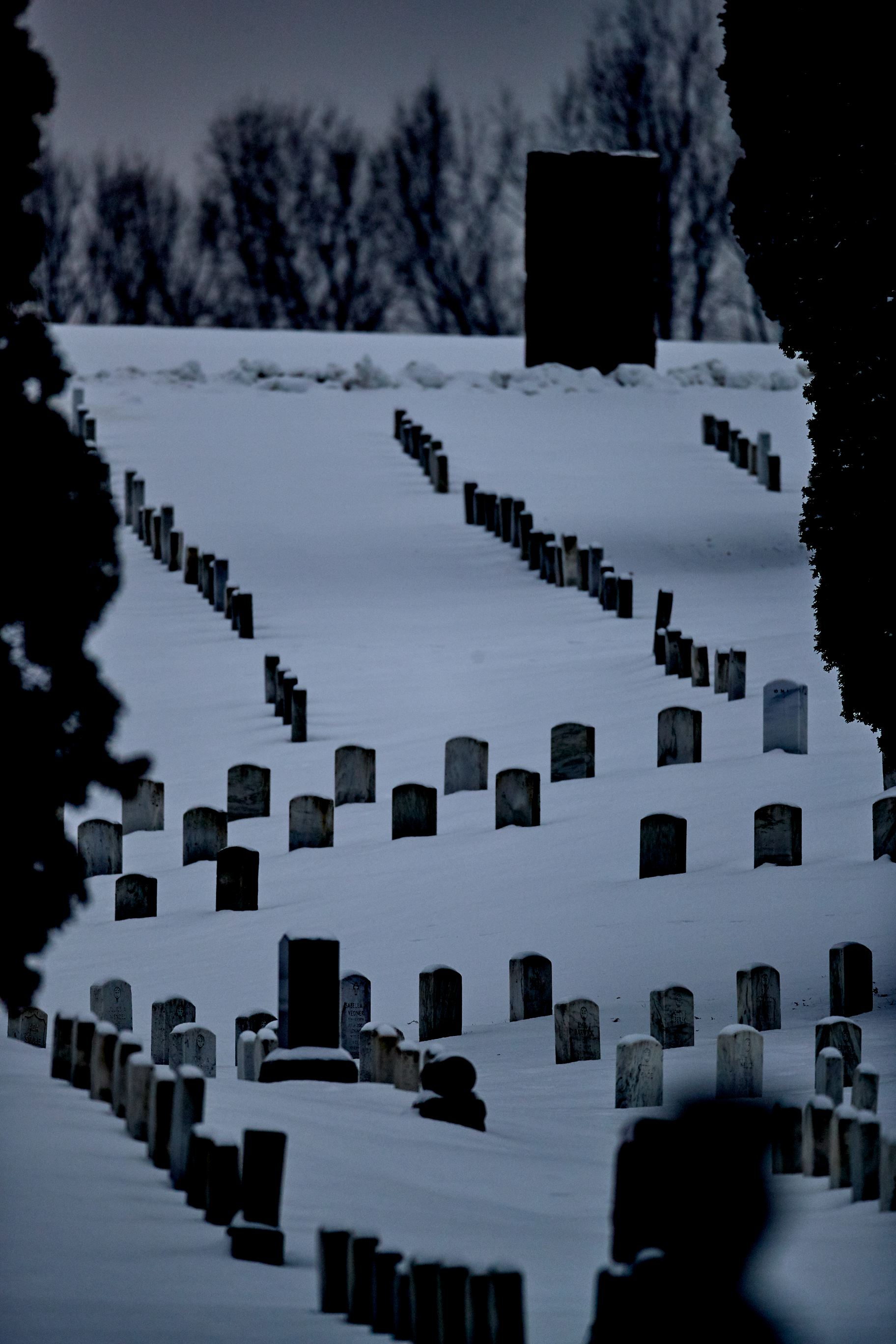 waa_48503.jpg