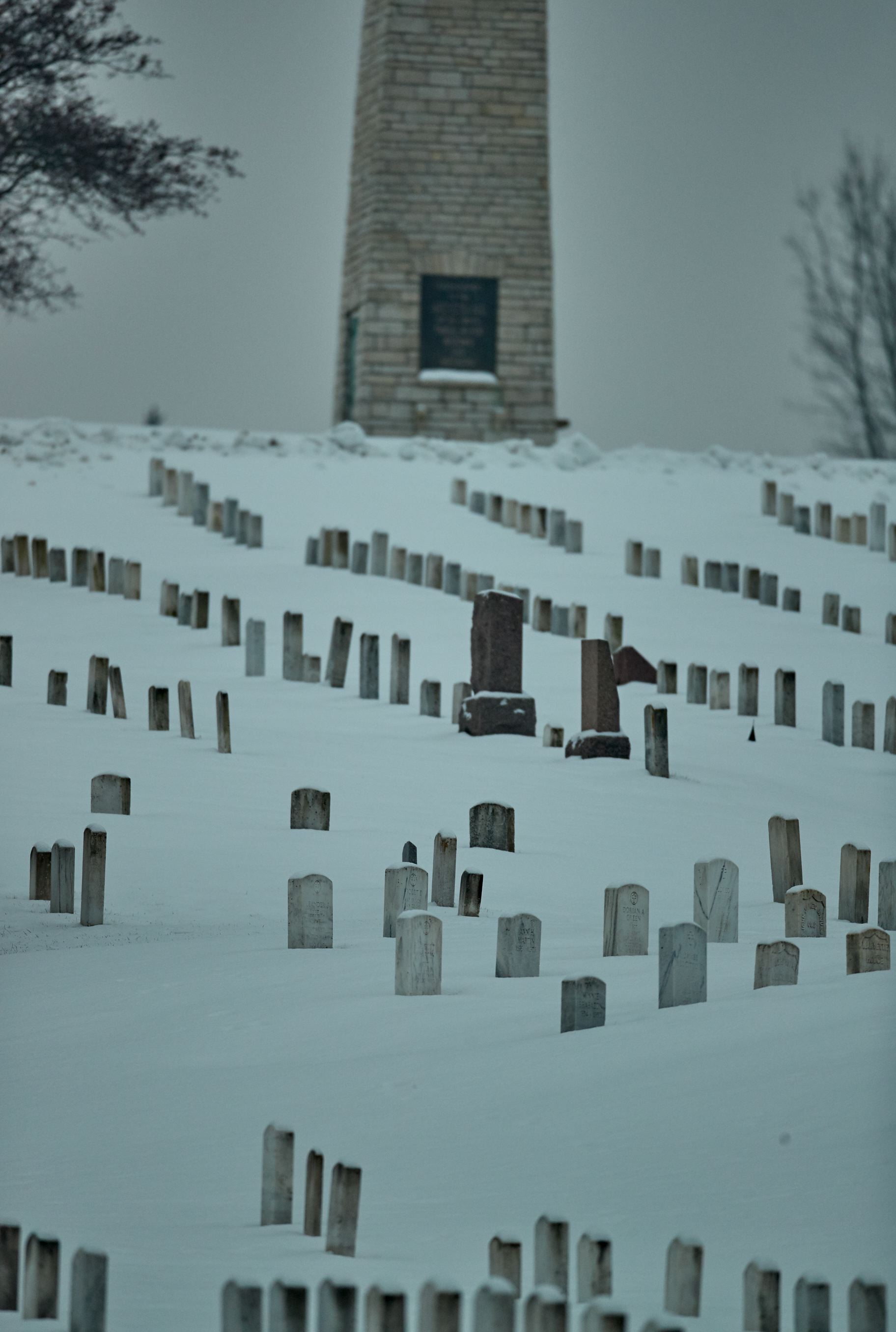 waa_48505_1.jpg