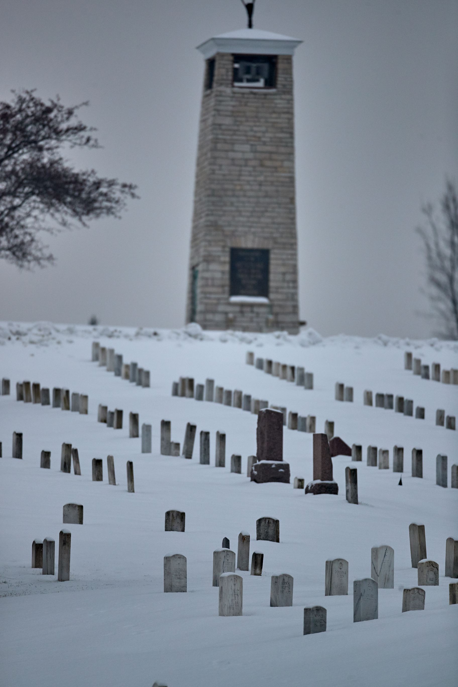 waa_48506.jpg