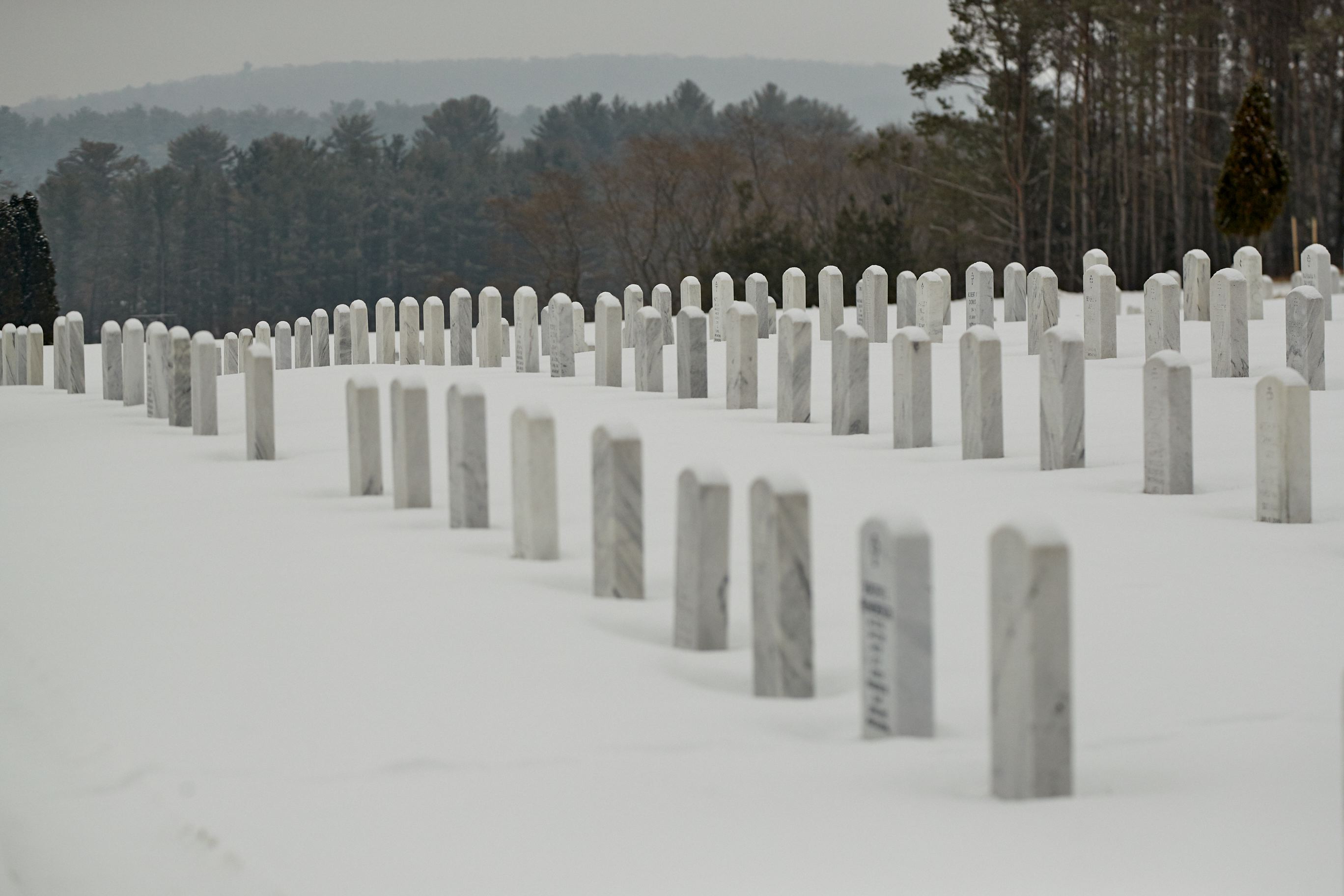 waa_48742.jpg