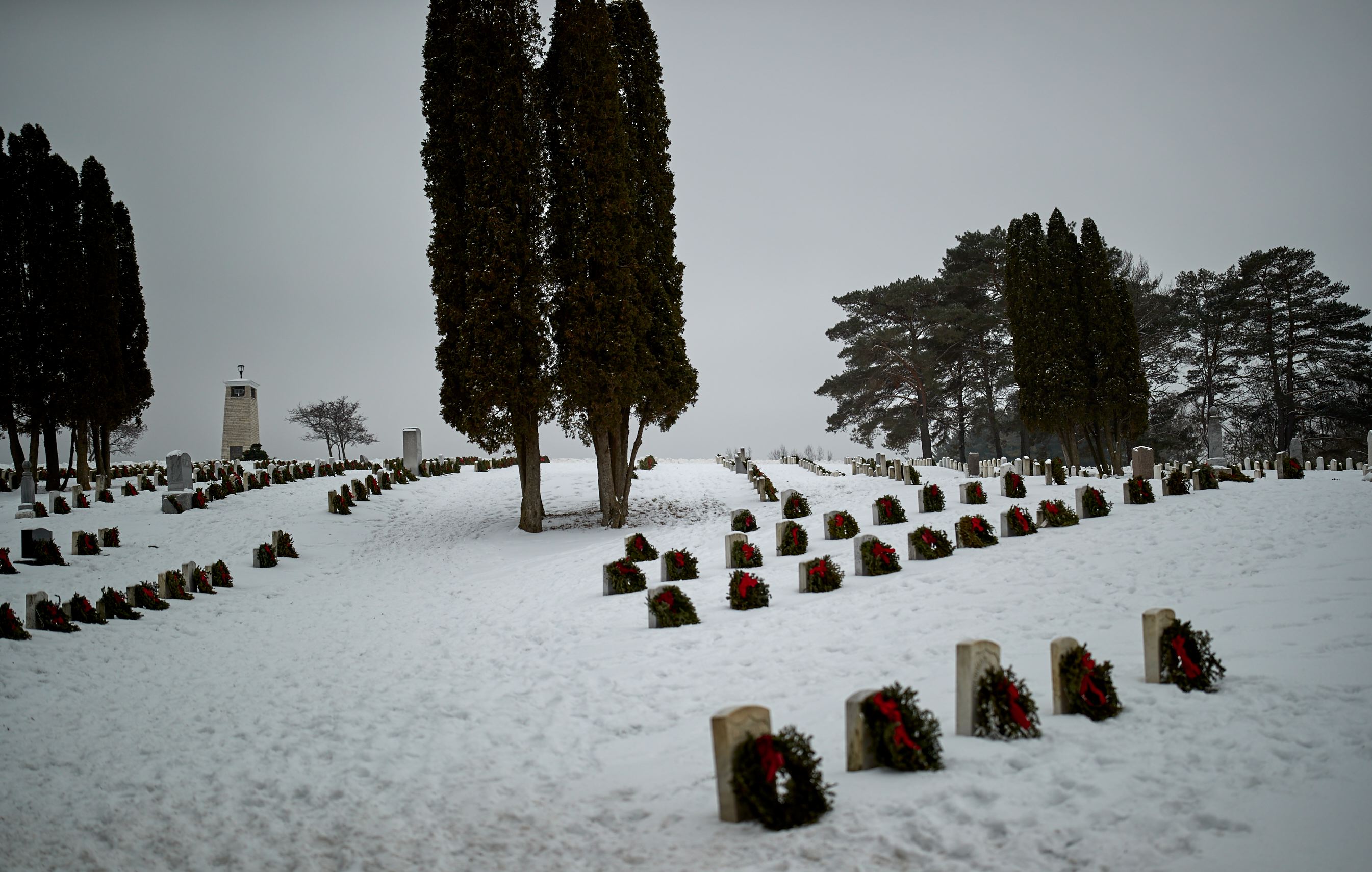 waa_49540.jpg