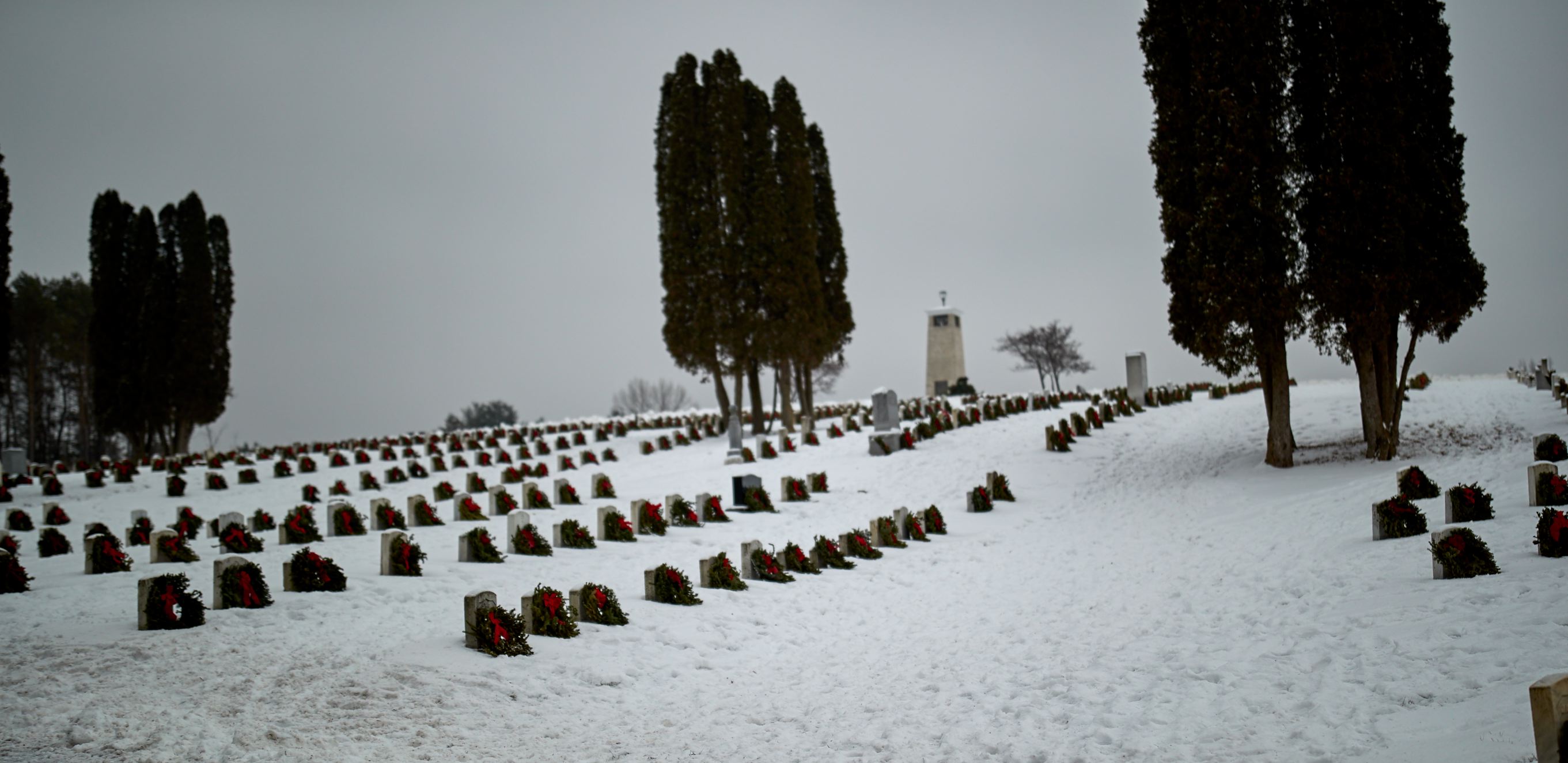 waa_49543.jpg